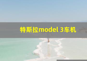 特斯拉model 3车机